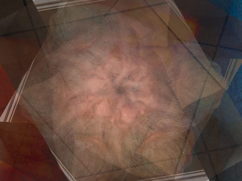 © Neil Berkowitz - "Sing Me a Lullaby, Please"