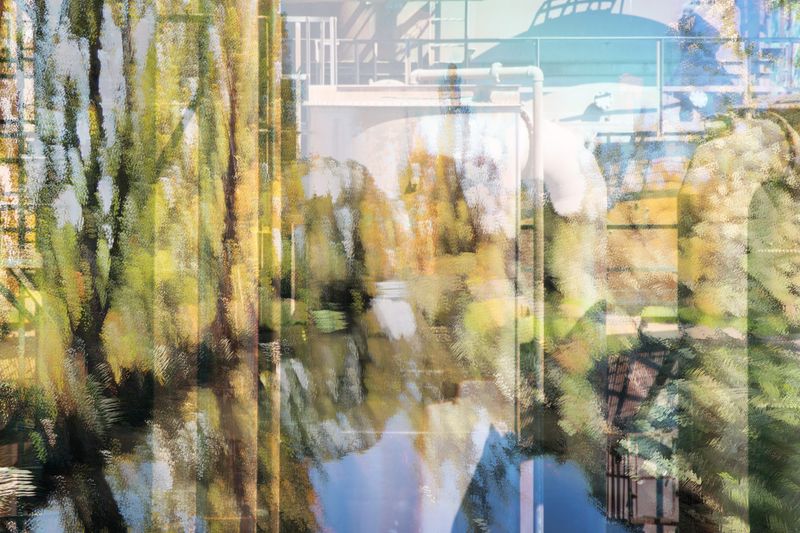 © Neil Berkowitz - Rehab (2025)