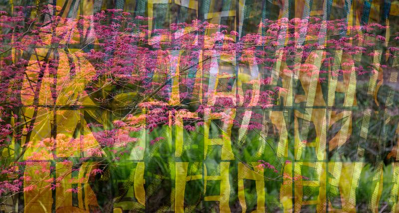 © Neil Berkowitz - Here + There = Here" (2026)