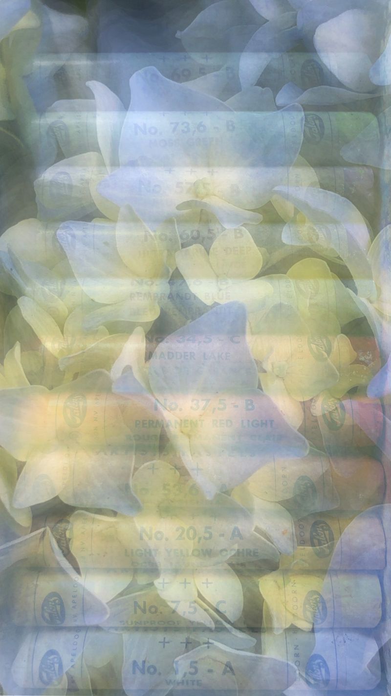 © Neil Berkowitz - "Truthtelling" (2024)