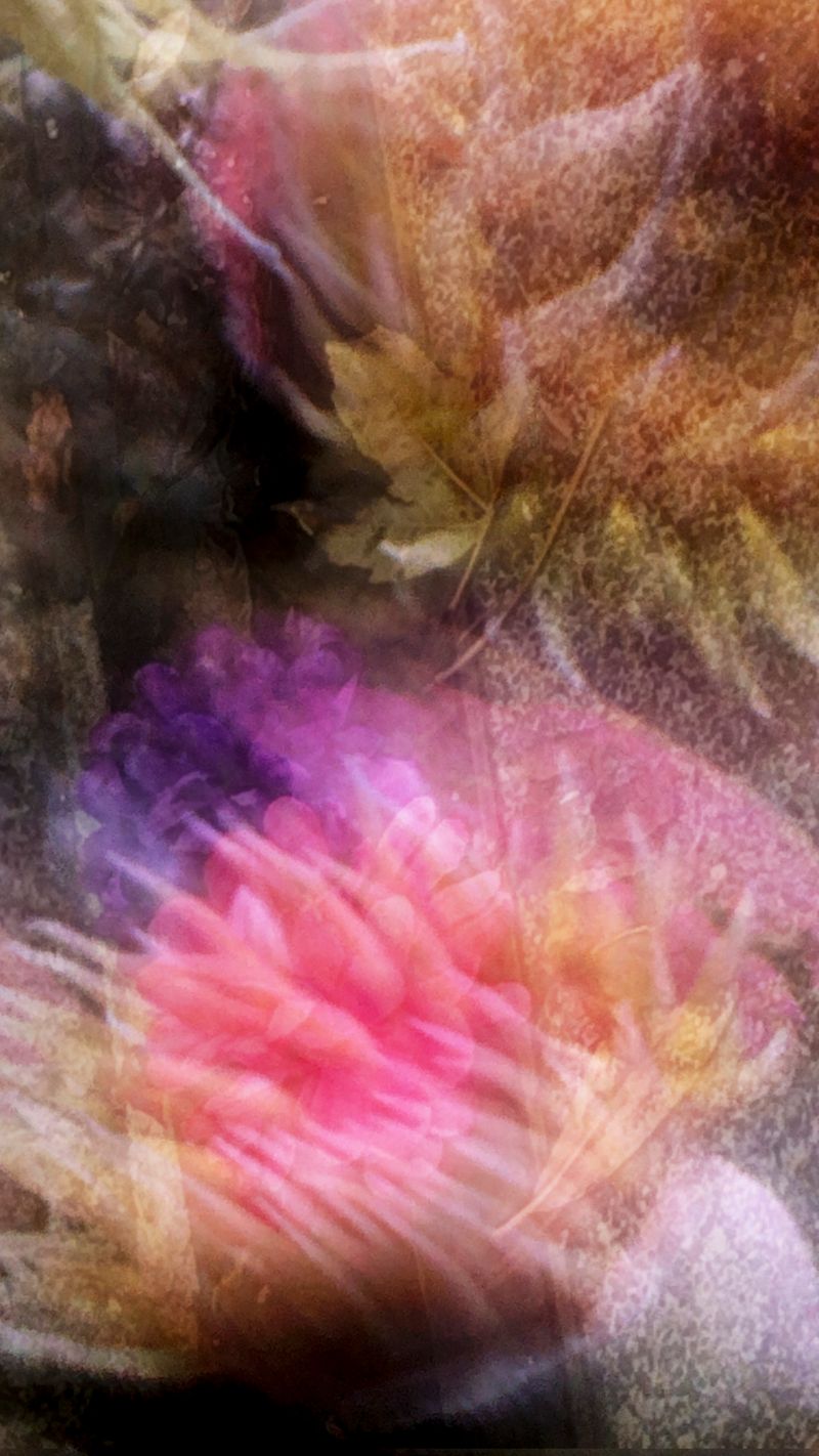 © Neil Berkowitz - To Every Thing (2026)