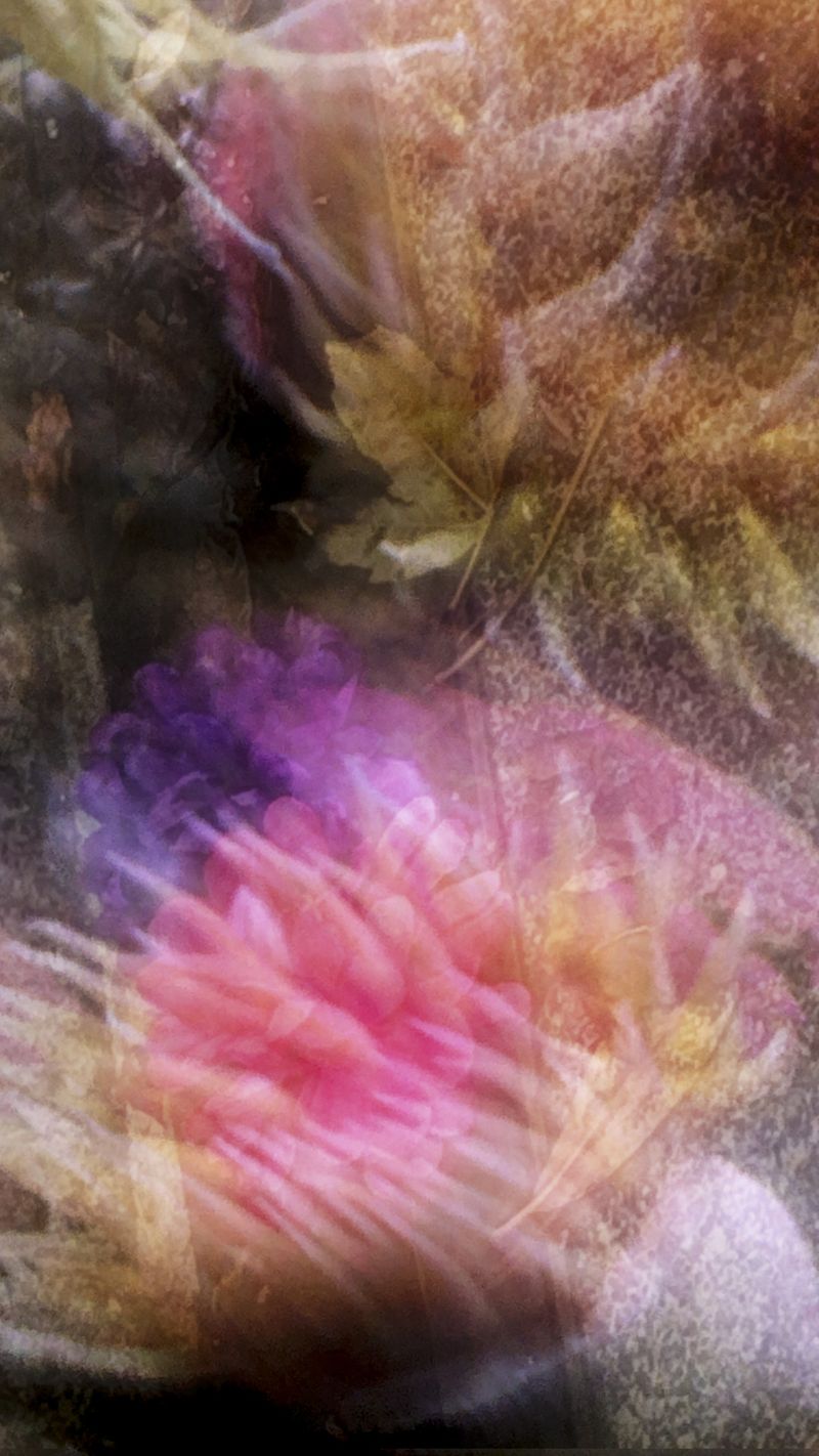 © Neil Berkowitz - To Every Thing (2026)