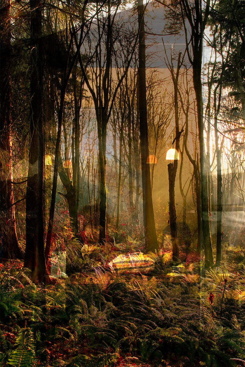 © Neil Berkowitz - Places Carry Traces (2026)