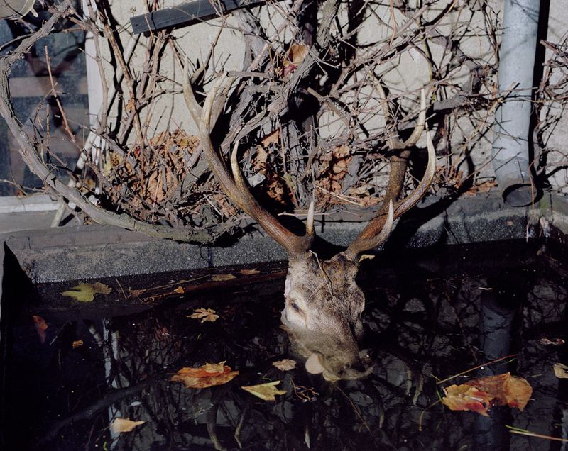 © Anna Orłowska - Image from the Leakage photography project