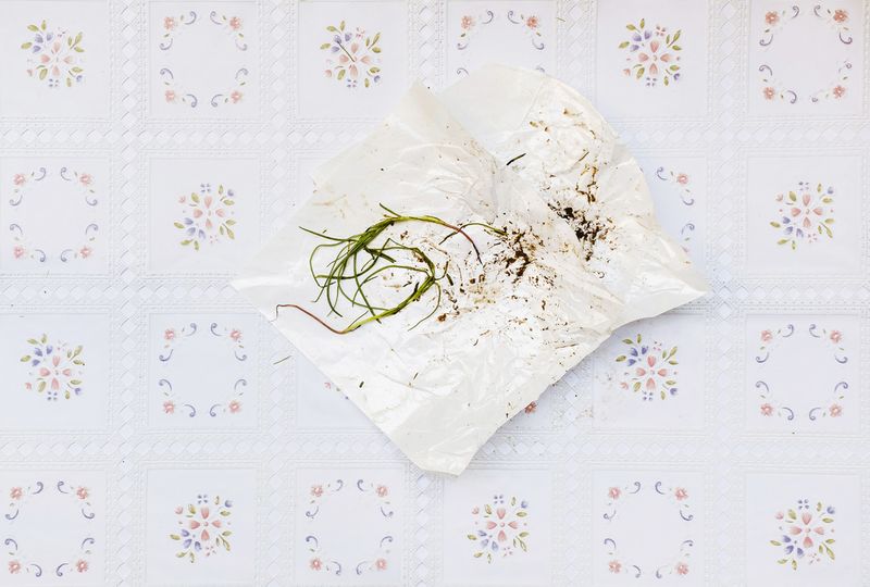 © Barbara Modolo - Image from the Toxo menu photography project