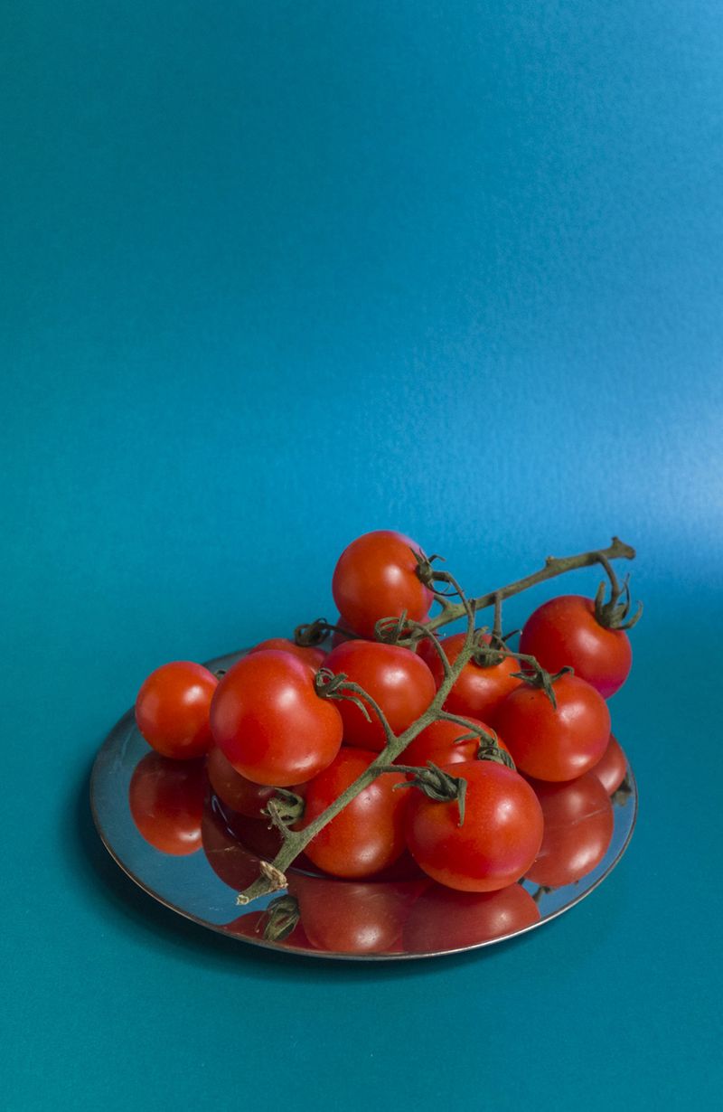 © Barbara Modolo - Image from the Toxo menu photography project