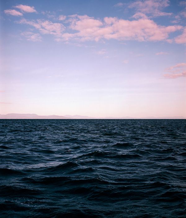 © Claudia Schildknecht - Image from the See You Later, Zooxanthellae! photography project