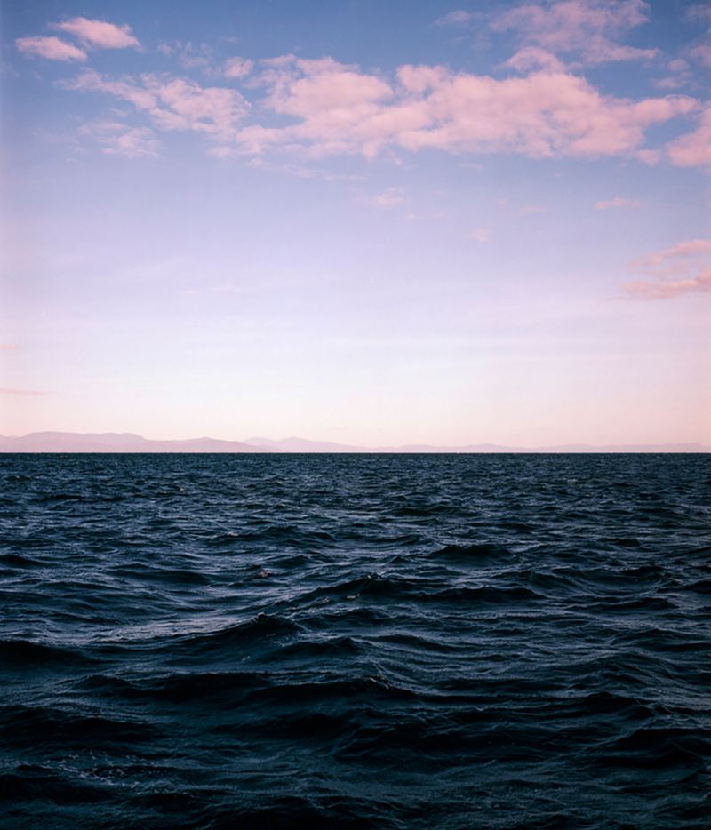© Claudia Schildknecht - Image from the See You Later, Zooxanthellae! photography project