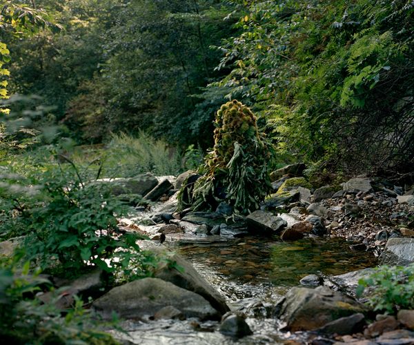 © Karoline Hjorth - Jina (South Korea 2017) © Karoline Hjorth & Riitta Ikonen