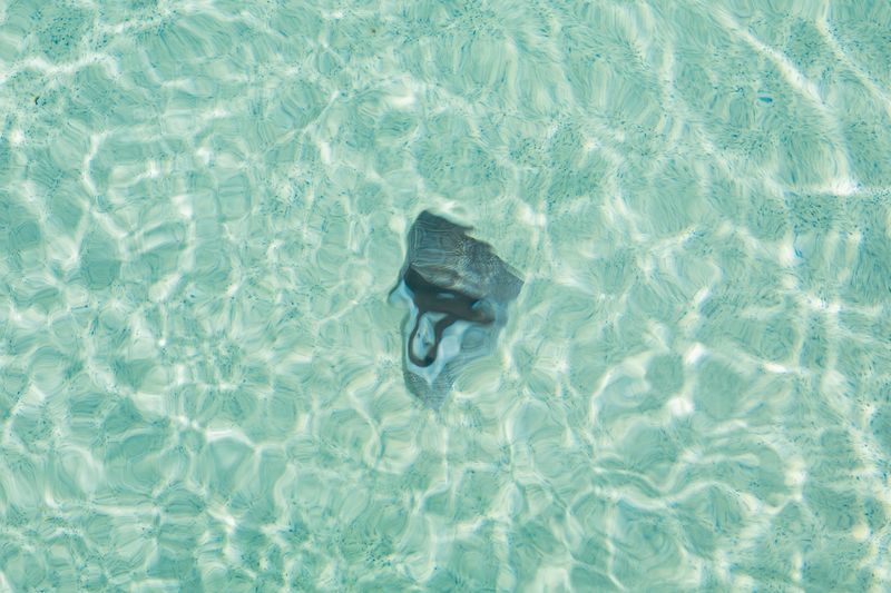 © Cristiana Motta - Image from the Jellyfish photography project