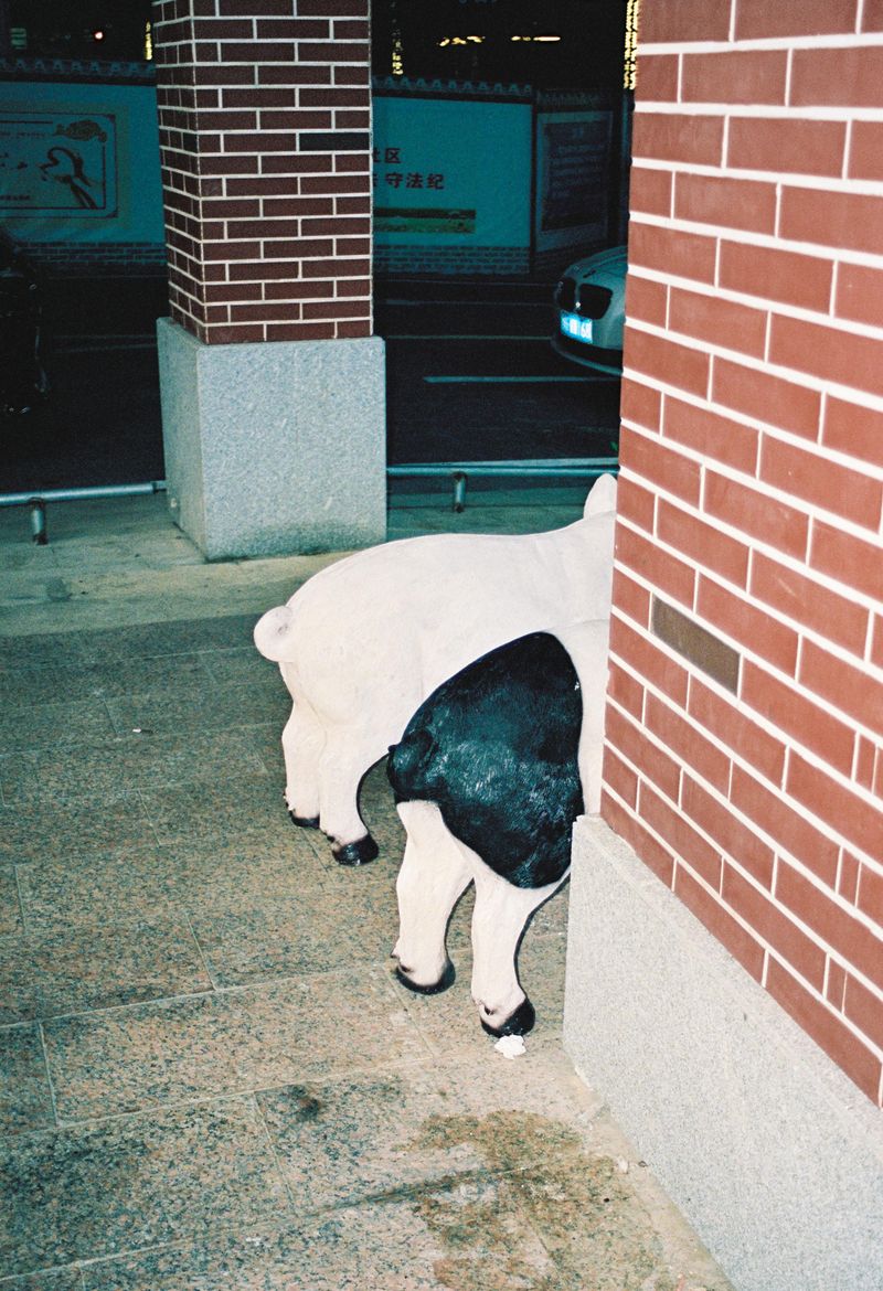 © Cheng Zhuang - Image from the CIGARETTE photography project