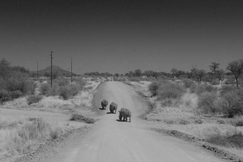 © Reuben - Image from the On the Road photography project