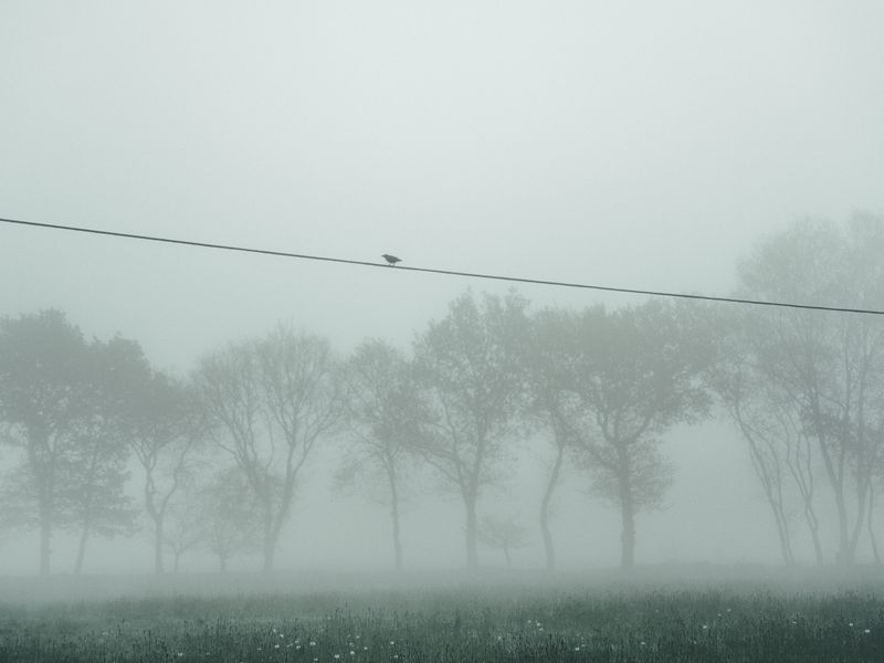 © Adra Pallón - Image from the Demothanasia. Death by depopulation. photography project