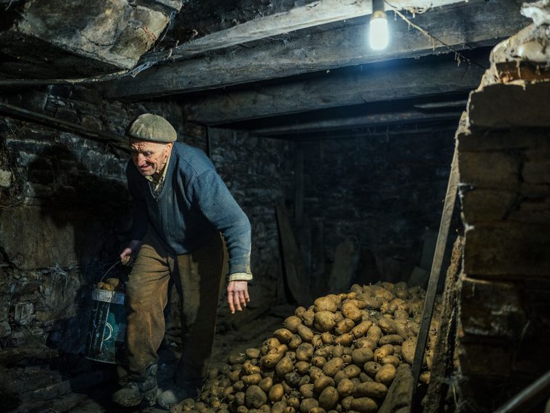 © Adra Pallón - Domingo picks potatoes to make food. Domingo is 88 years old and lives alone in an isolated village in A Fonsagrada.