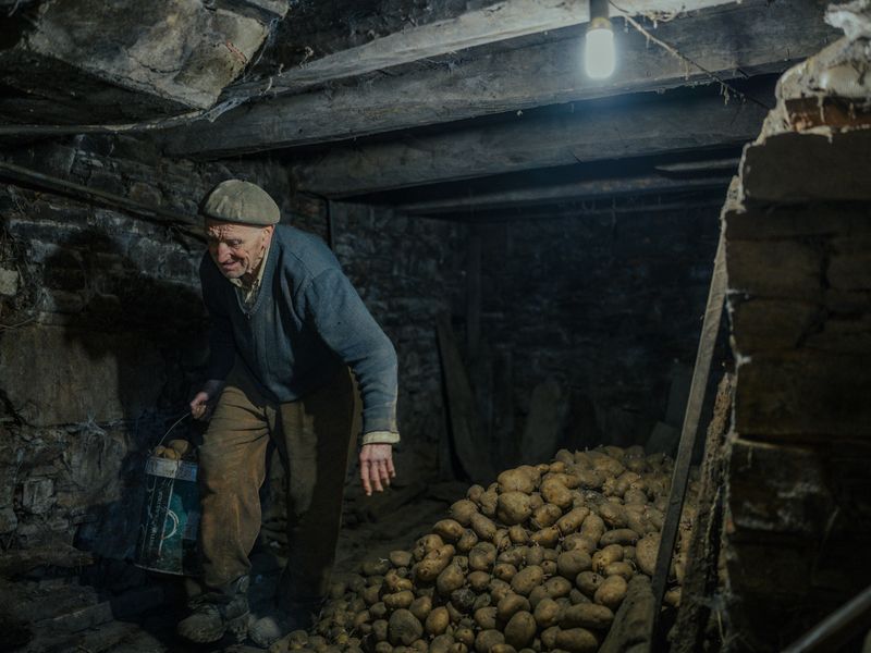 © Adra Pallón - Domingo picks potatoes to make food. Domingo is 88 years old and lives alone in an isolated village in A Fonsagrada.