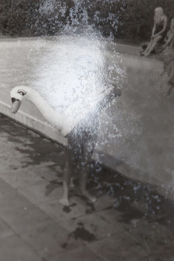 © Pascale Hustings - Pascale Hustings_Swanlike_from the series_Changeling