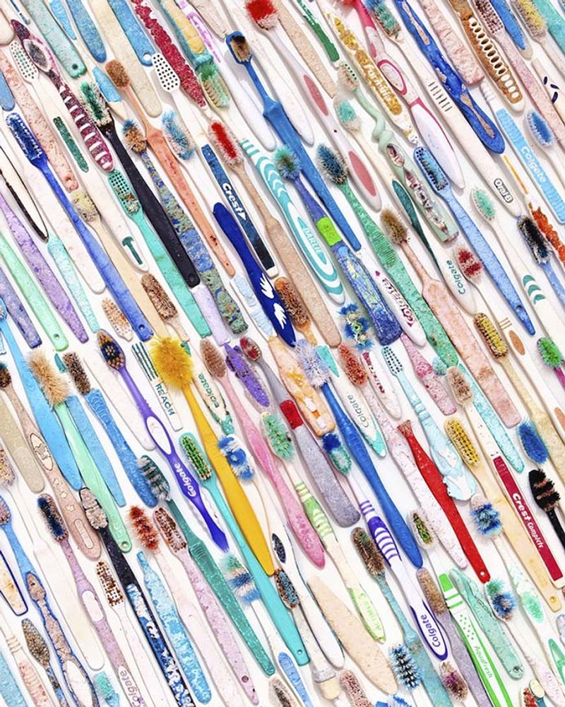 © Meredith Andrews - Image from the Flotsam & Jetsam photography project