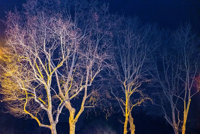 © Guillaume Anne - Image from the The night photography project