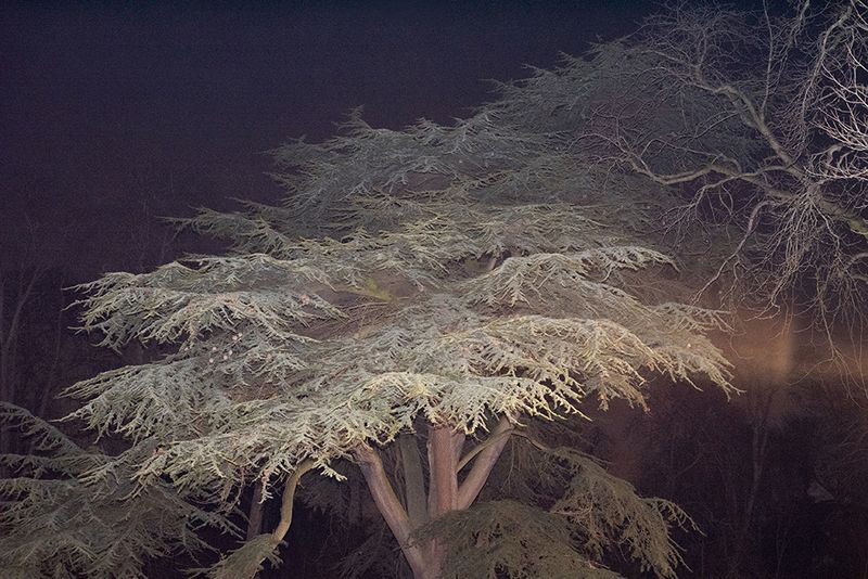 © Guillaume Anne - Image from the The night photography project