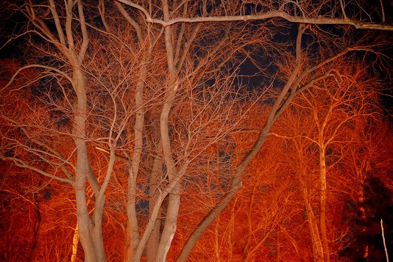 © Guillaume Anne - Image from the The night photography project