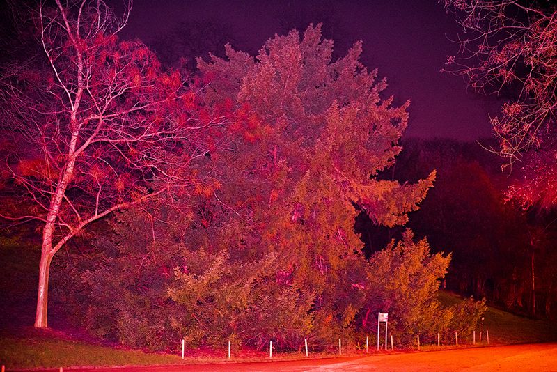 © Guillaume Anne - Image from the The night photography project