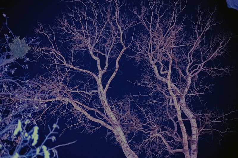 © Guillaume Anne - Image from the The night photography project