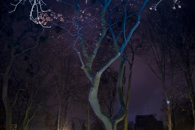© Guillaume Anne - Image from the The night photography project