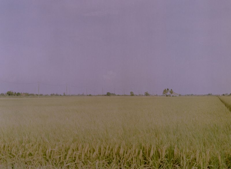 © Aishah Kenton - Image from the Orchid photography project