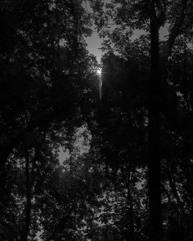 © Ann Burke Daly + Marion Belanger - Image from the Night Studio: Temporal Dislocations photography project