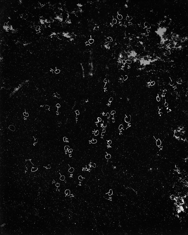 © Ann Burke Daly + Marion Belanger - Image from the Night Studio: Temporal Dislocations photography project