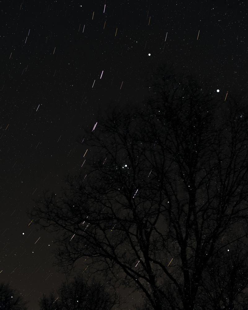 © Ann Burke Daly + Marion Belanger - Image from the Night Studio: Temporal Dislocations photography project