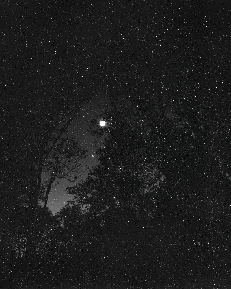 © Ann Burke Daly + Marion Belanger - Image from the Night Studio: Temporal Dislocations photography project