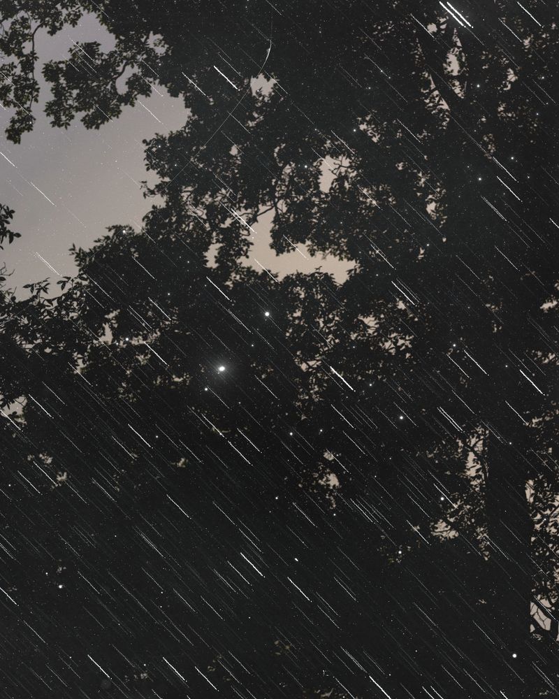 © Ann Burke Daly + Marion Belanger - Image from the Night Studio: Temporal Dislocations photography project