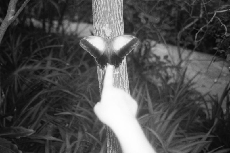 © Ruby van den Brink - Don't touch it