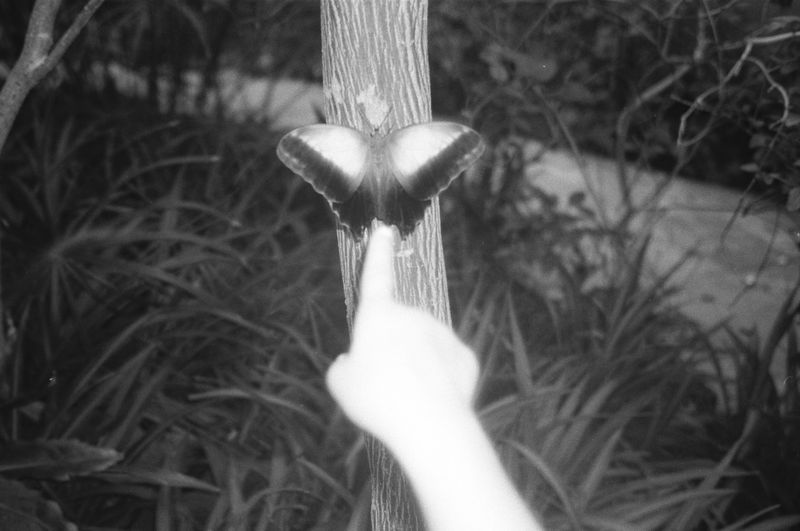 © Ruby van den Brink - Don't touch it