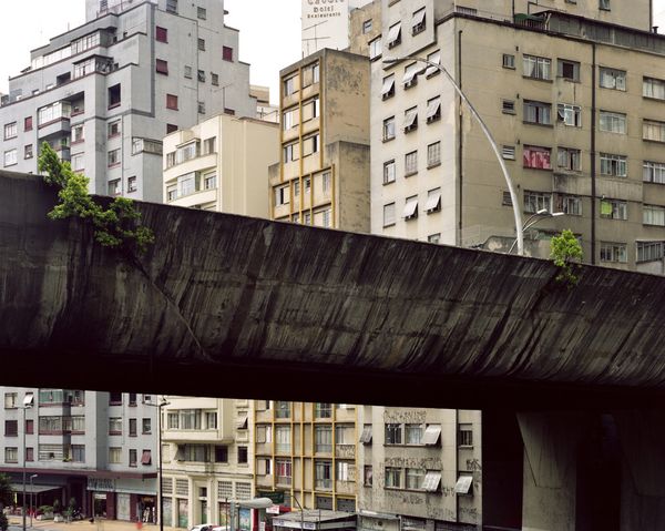 © Tatewaki Nio - 2008 Print size: 80cm x 98.5cm