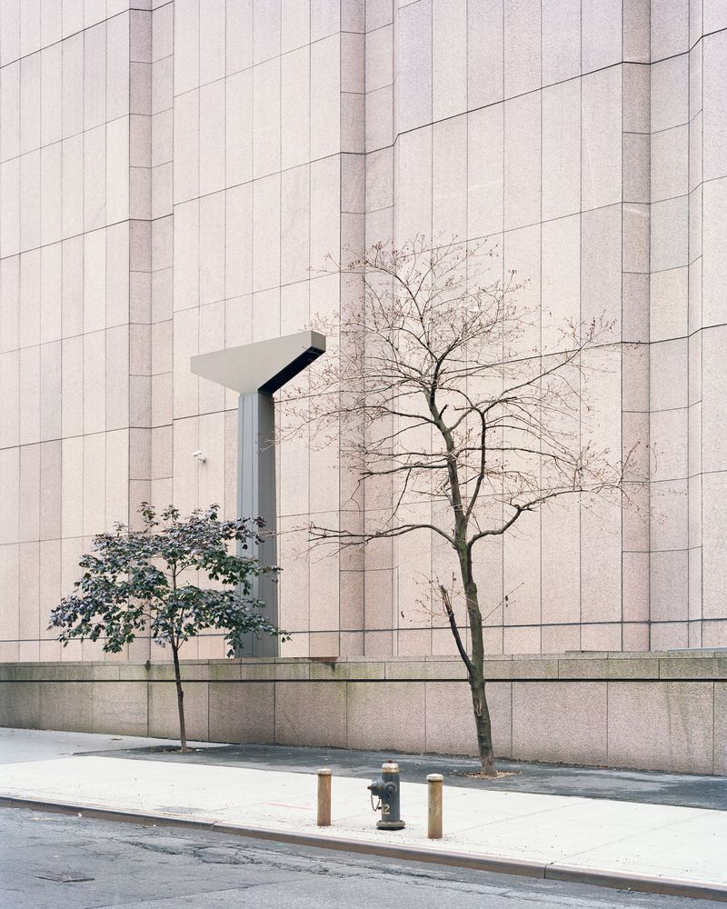 © Philippe Braquenier - Image from the Palimpsest photography project