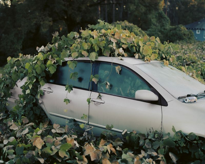 © Vincent Desailly - Image from the The Trap photography project