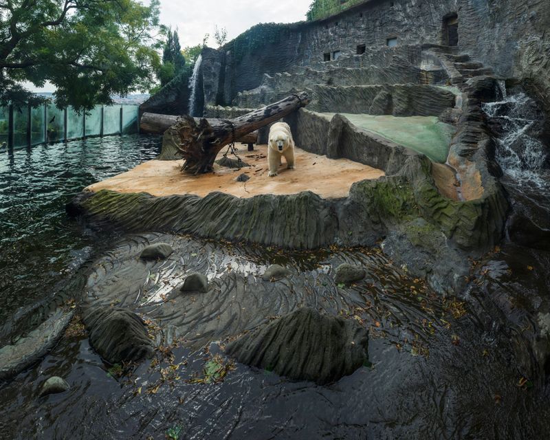 © Sheng-Wen Lo - Zoo Praha, Czech Republic (2014)