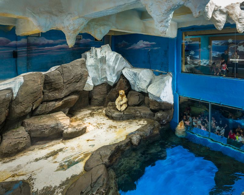 © Sheng-Wen Lo - Image from the White Bear photography project