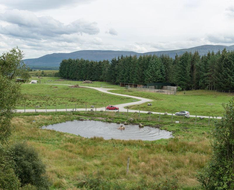 © Sheng-Wen Lo - Image from the White Bear photography project