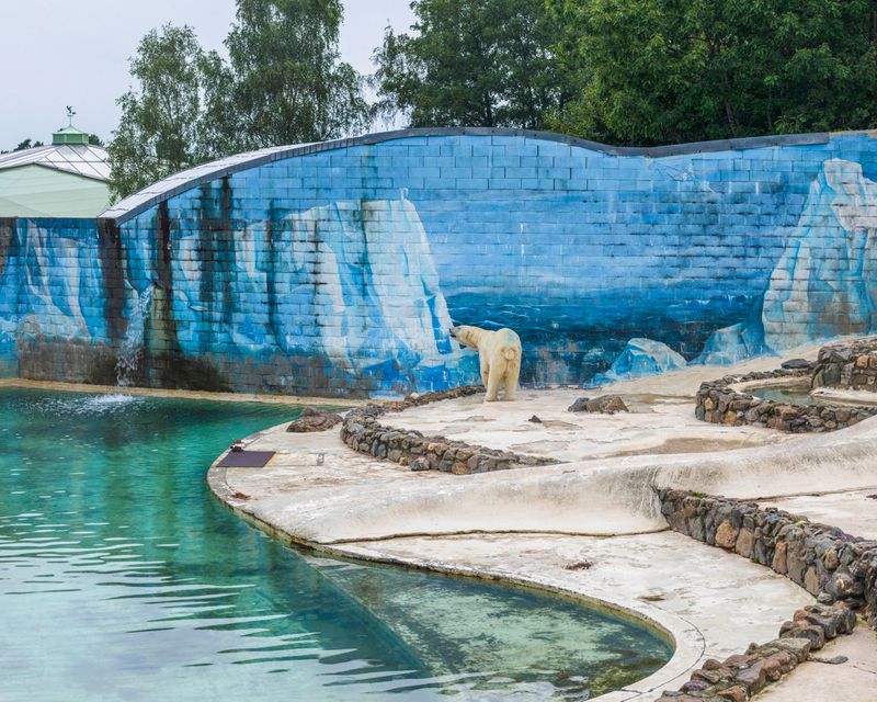 © Sheng-Wen Lo - Monde Sauvage", Aywaille, Belgium (2014)