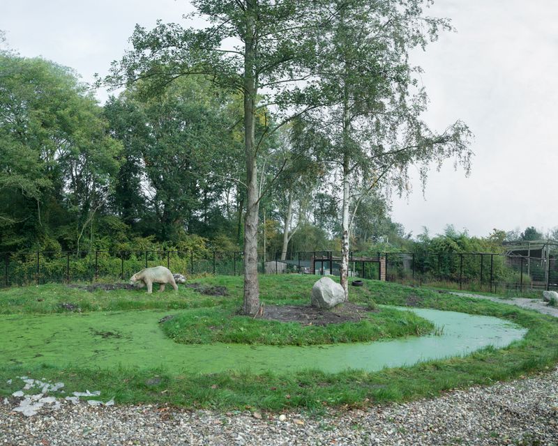 © Sheng-Wen Lo - Aquazoo Friesland, Netherlands (2016)