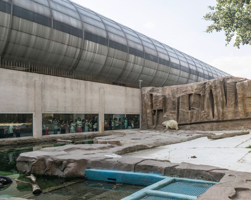 © Sheng-Wen Lo - Beijing Zoo, China (2015)A roadway passes on top of the enclosure; it was capsulated to shield traffic noise.