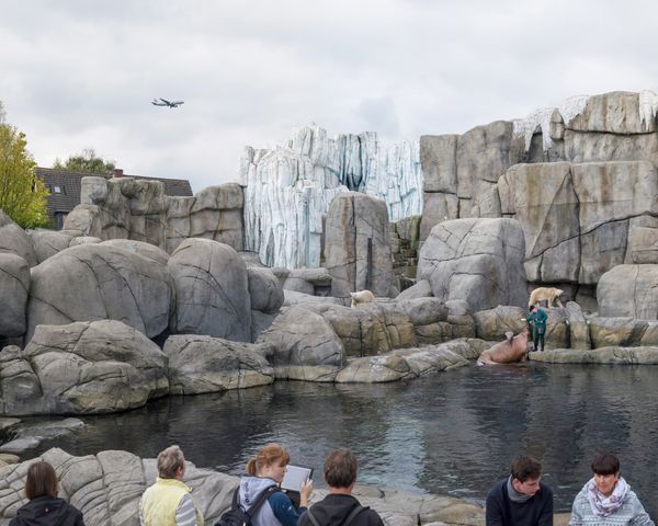 © Sheng-Wen Lo - Image from the White Bear photography project