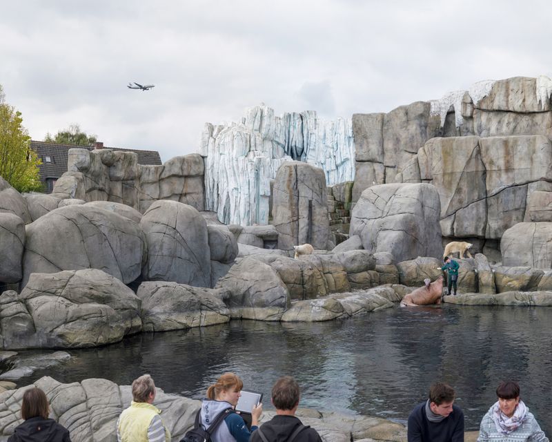 © Sheng-Wen Lo - Image from the White Bear photography project