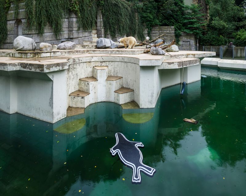 © Sheng-Wen Lo - Image from the White Bear photography project