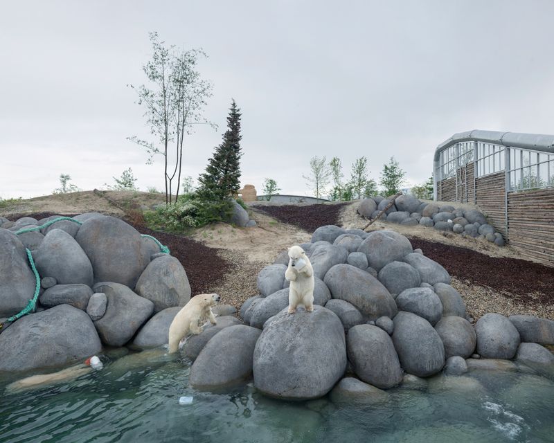 © Sheng-Wen Lo - Image from the White Bear photography project