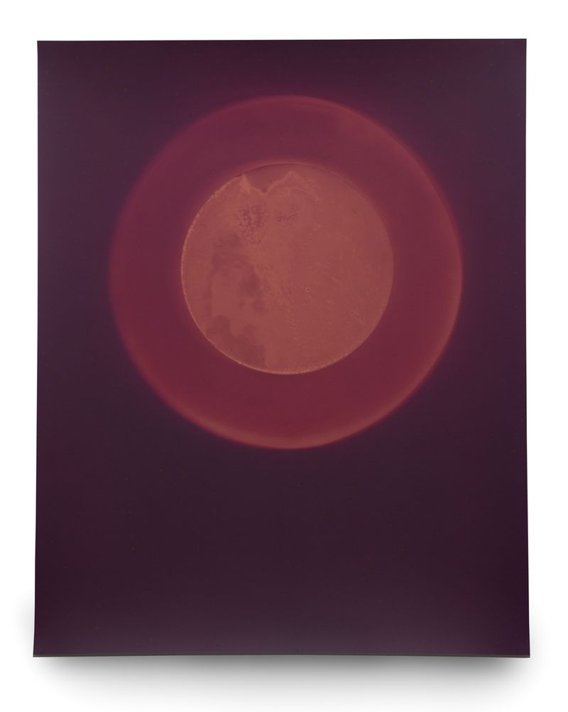 © Galina Kurlat - Image from the Vestige photography project