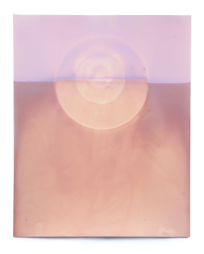 © Galina Kurlat - May 28 (Used Bathwater, Hair) 2021 16x20 Inches Unique Silver Gelatin Print